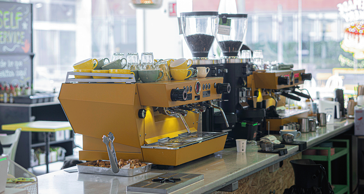 Opciones saludables y frescas